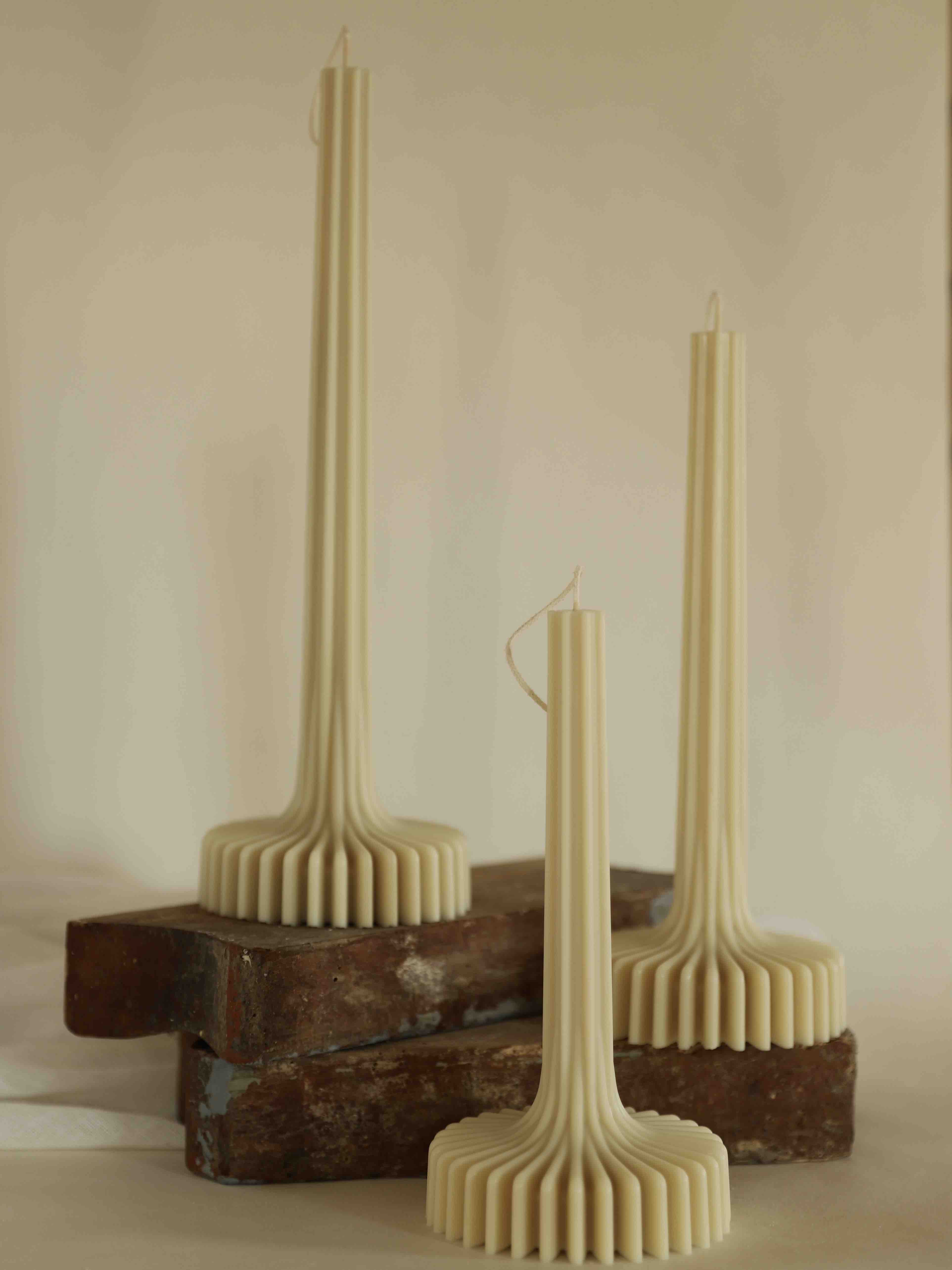 Morta ( spalva: butter)